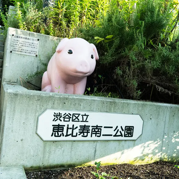 恵比寿南第二公園の豚