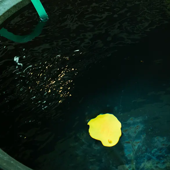 水風呂の写真